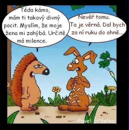 teda kámo